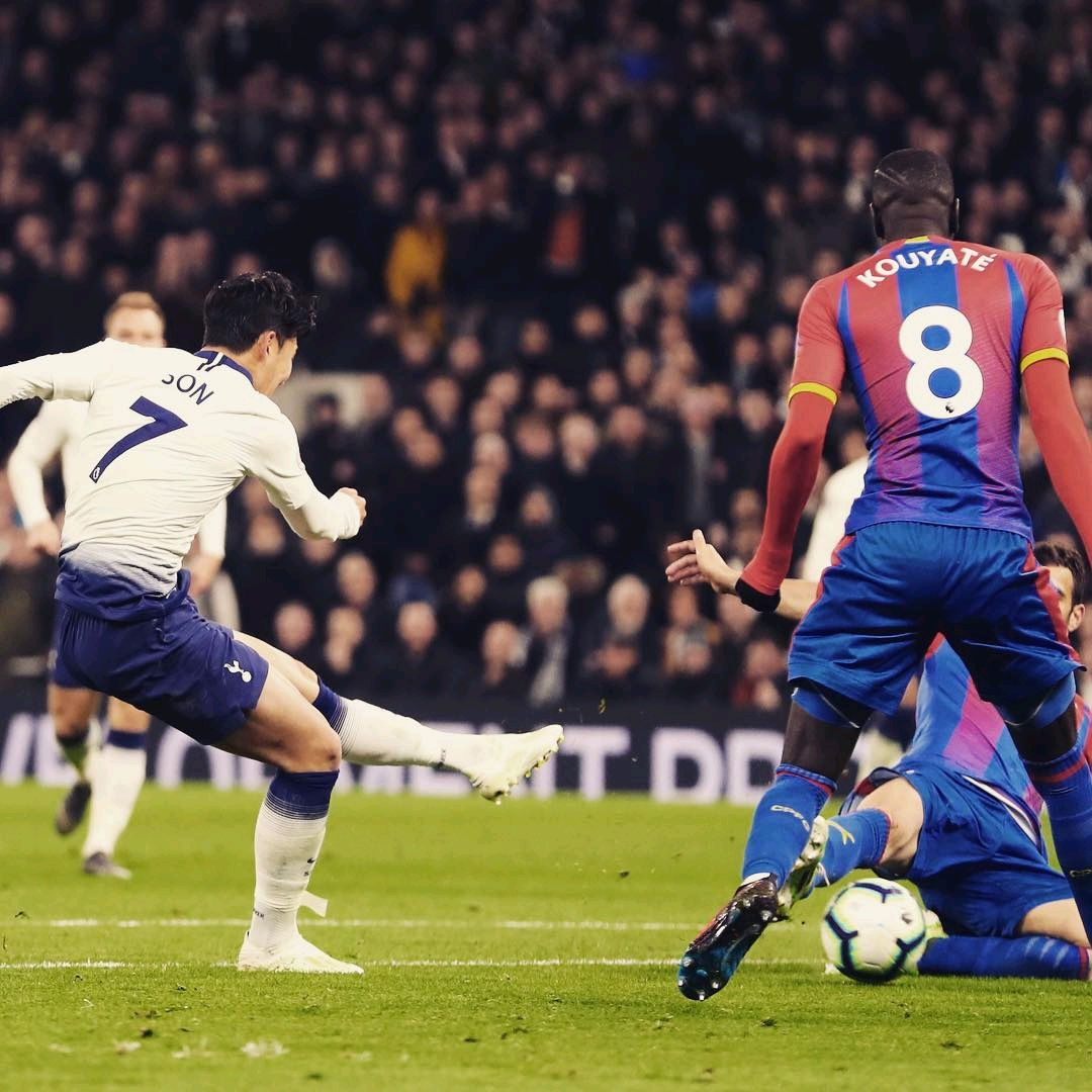 他们定会调 他们定会调