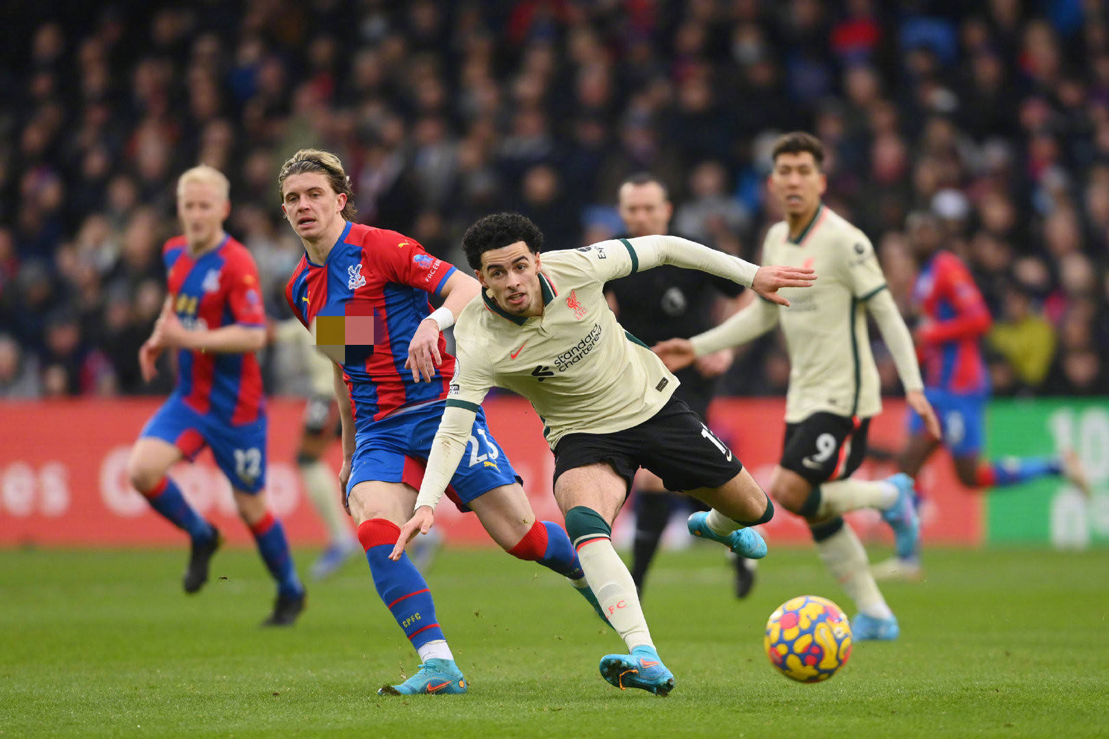 场机会成长 场机会成长